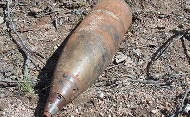 Житель Тульской области нашел у себя в огороде артиллерийский снаряд