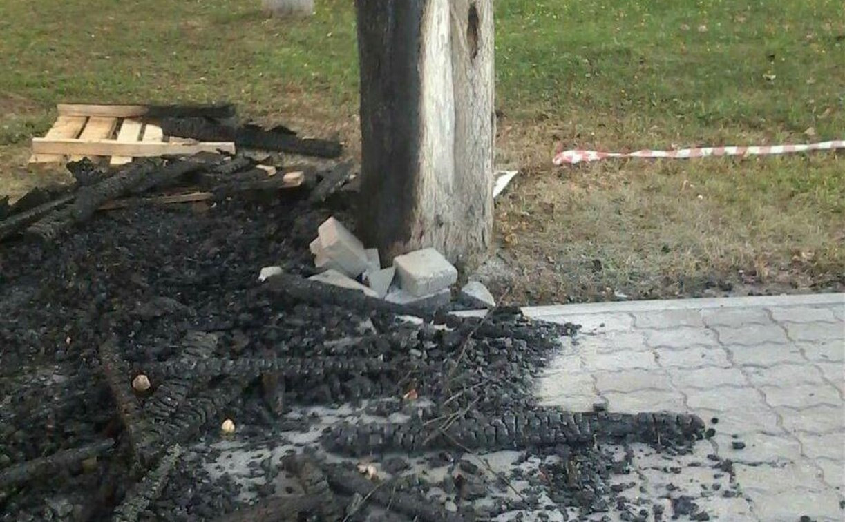 В центре Тулы неизвестные уничтожают деревья