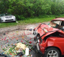В ДТП с пострадавшими под Тулой виноват водитель иномарки