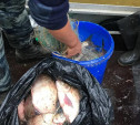 В Тульской области на Оке поймали рыбаков-браконьеров