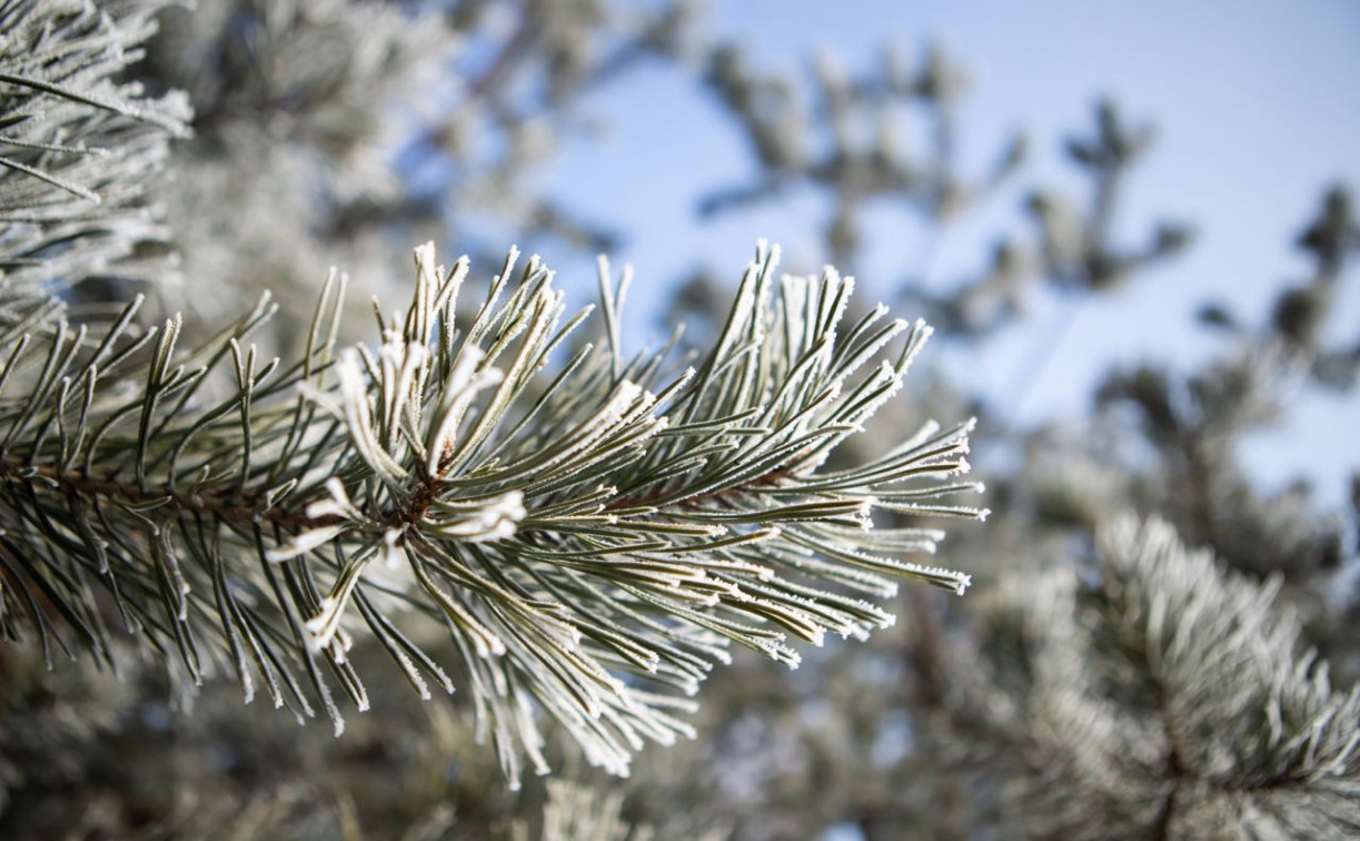 В Туле резко похолодает 19 ноября 