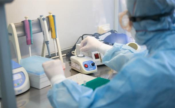 В Тульской области за сутки 75 новых случаев заражения коронавирусом