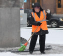В Туле ужесточили правила уборки города