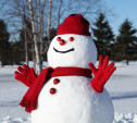 В Туле проходит конкурс на лучшего снеговика