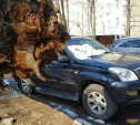 В Туле на проспекте Ленина Land Cruiser придавило деревом