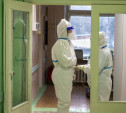 В Тульской области за сутки 230 случаев коронавируса и 11 смертей