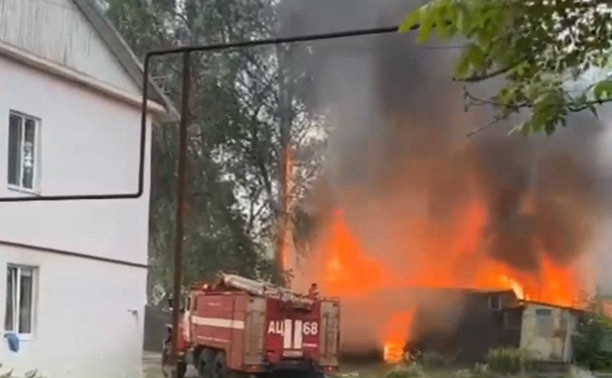 В Богородицке подожгли блок сараев: видео