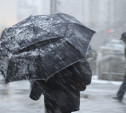 Погода в Туле 10 декабря: дождь со снегом и ветер