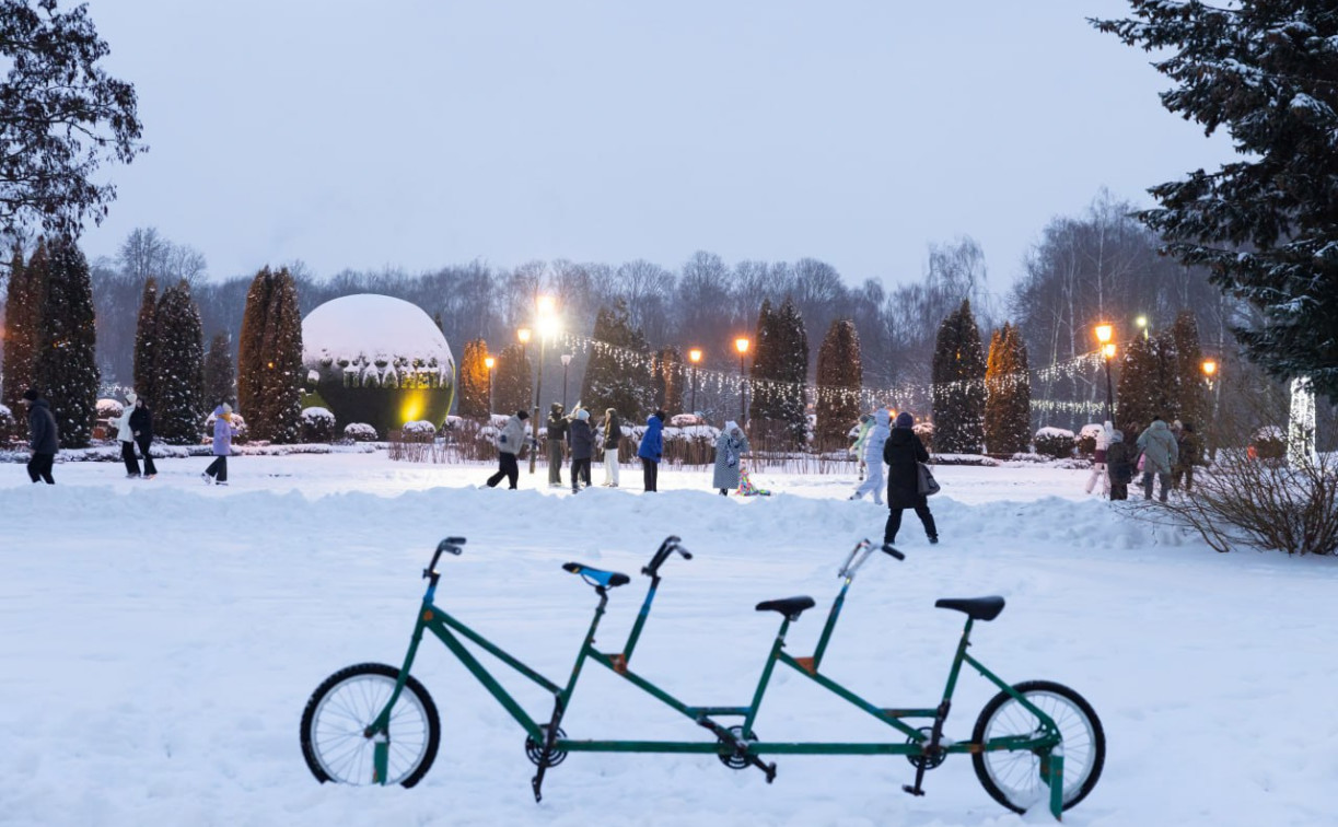 Синоптики: год в Центральной России закончится снегопадами и морозами