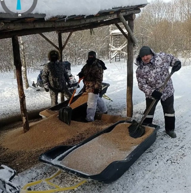 В тульских лесах открыли зимние столовые для диких животных