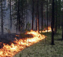 В Тульской области проверят, как используют технику для тушения лесных пожаров