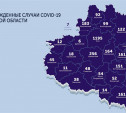 Подтвержденные случаи коронавируса в Тульской области: карта на 26 мая