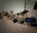 «Хартия» объяснила нарушение сроков вывоза мусора в Туле
