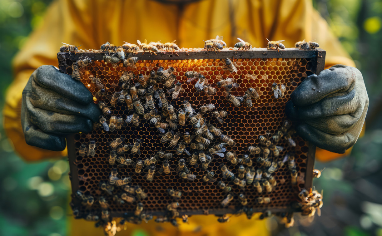 Новомосковская пасечница взыскала почти 2 миллиона с ООО «Росток» за гибель пчел 