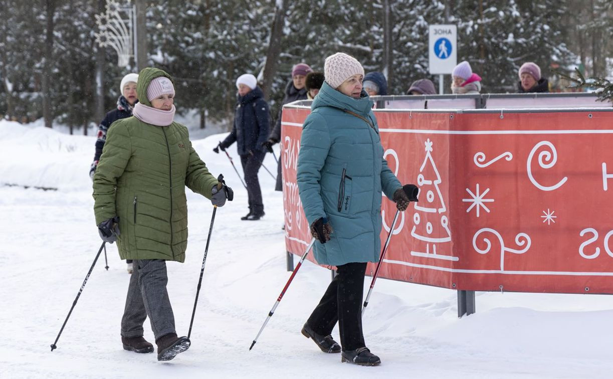 В Рогожинском парке Тулы начнутся бесплатные занятия по скандинавской ходьбе