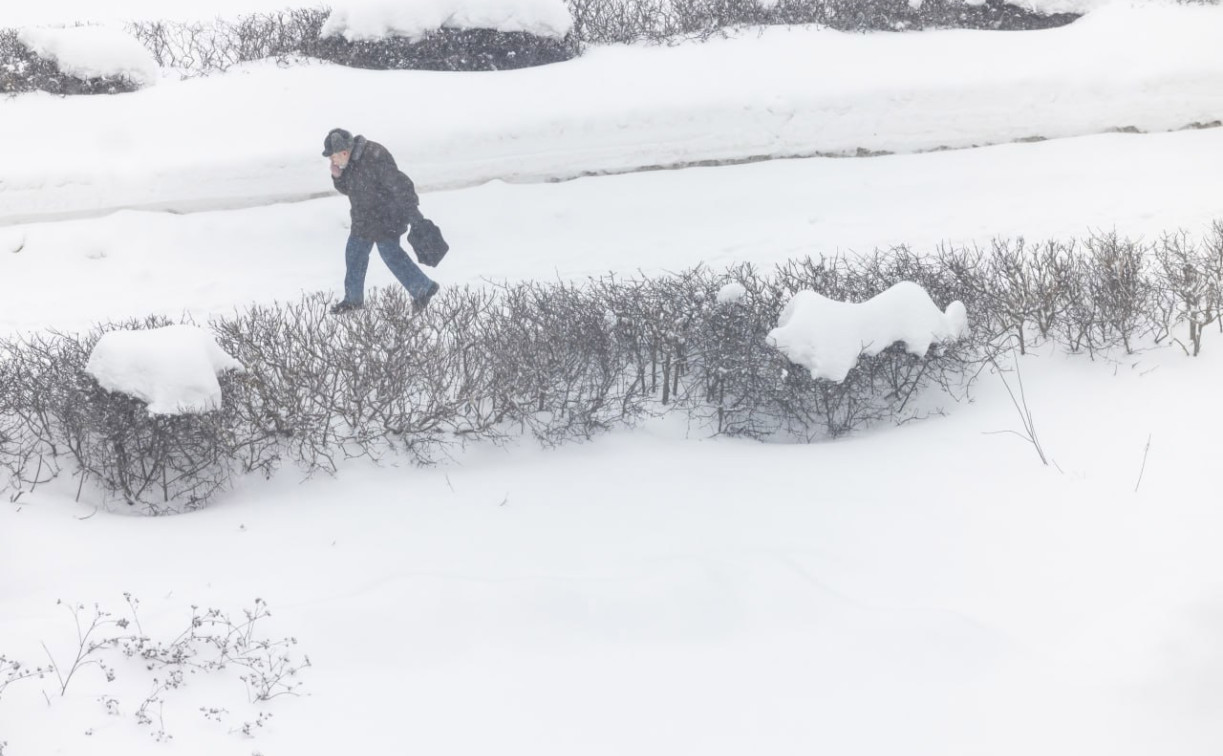 До оттепели далеко? В Тульской области еще держатся метровые сугробы