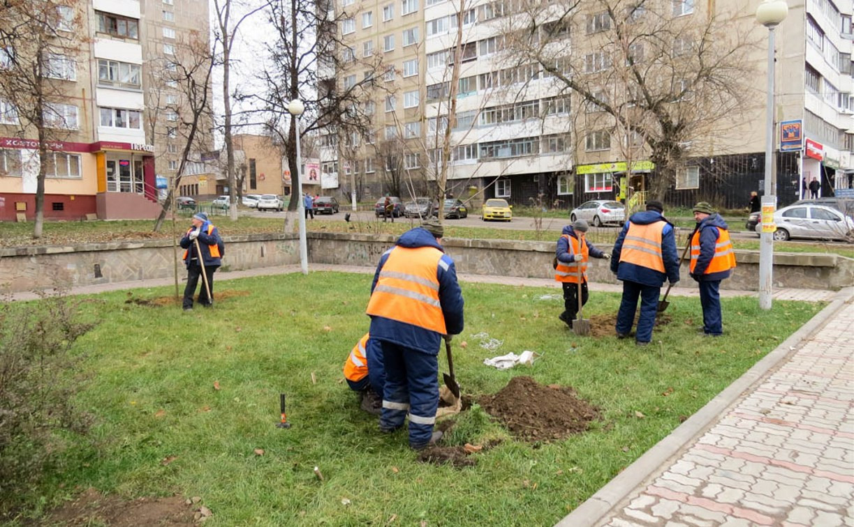 В Туле продолжаются работы по озеленению территорий - Новости Тулы и  области - MySlo.ru