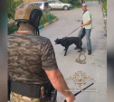 В Туле собачник-наркодилер натравил своего пса на спецназовцев: видео
