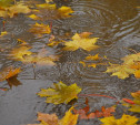 Погода в Туле 4 октября: потепление, дождь и порывистый ветер