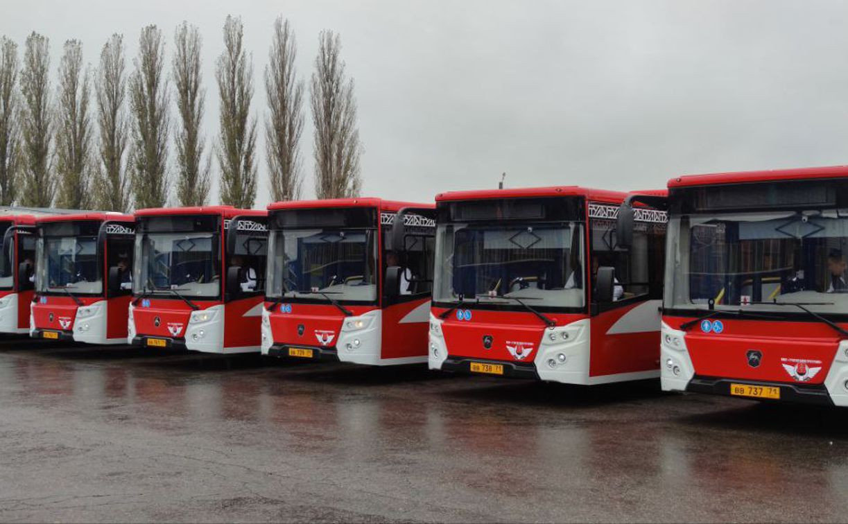 В Тулу прибыли 15 новых автобусов в «львином» дизайне