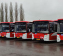 В Тулу прибыли 15 новых автобусов в «львином» дизайне