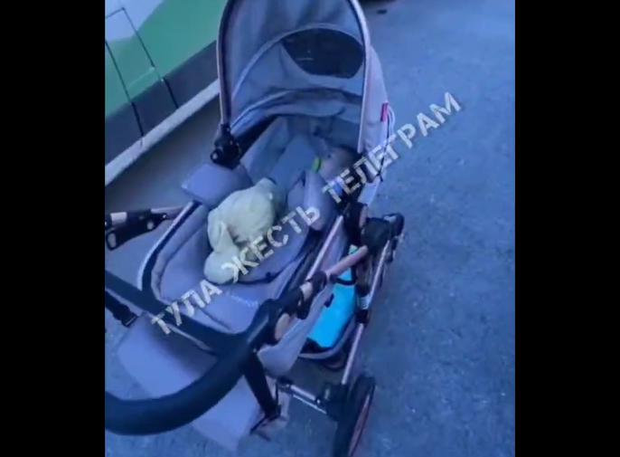 «С половины второго орёт»: на Северной Мызе найдена коляска с грудным ребенком 