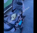 «С половины второго орёт»: на Северной Мызе найдена коляска с грудным ребенком 