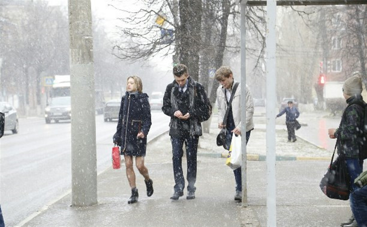 Снежная погода в Тульской области задержится на неделю