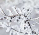 Из-за резкого похолодания в Тульской области объявлено метеопредупреждение