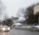 Погода в Туле 19 марта: дождь со снегом и до +7