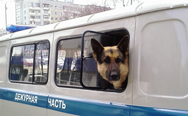 Полицейская собака помогла задержать карманницу