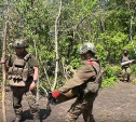 Тульские артиллеристы уничтожили замаскированное орудие ВСУ в приграничном районе Курской области