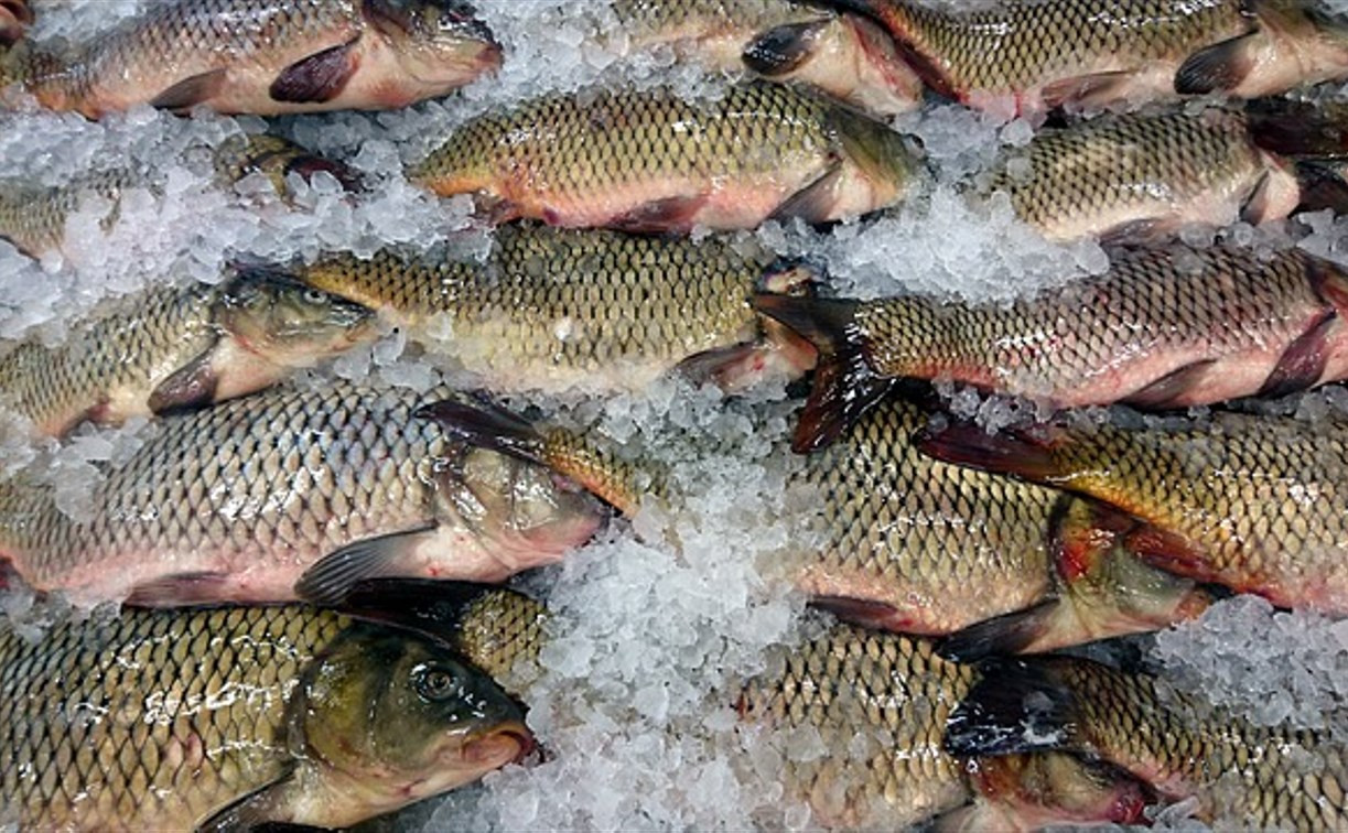 Более полутора тонн рыбной продукции забраковал Роспотребнадзор в Тульской области