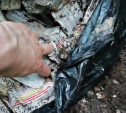 Власти Тулы: по факту обнаружения медицинских отходов на берегу Бежки начата проверка