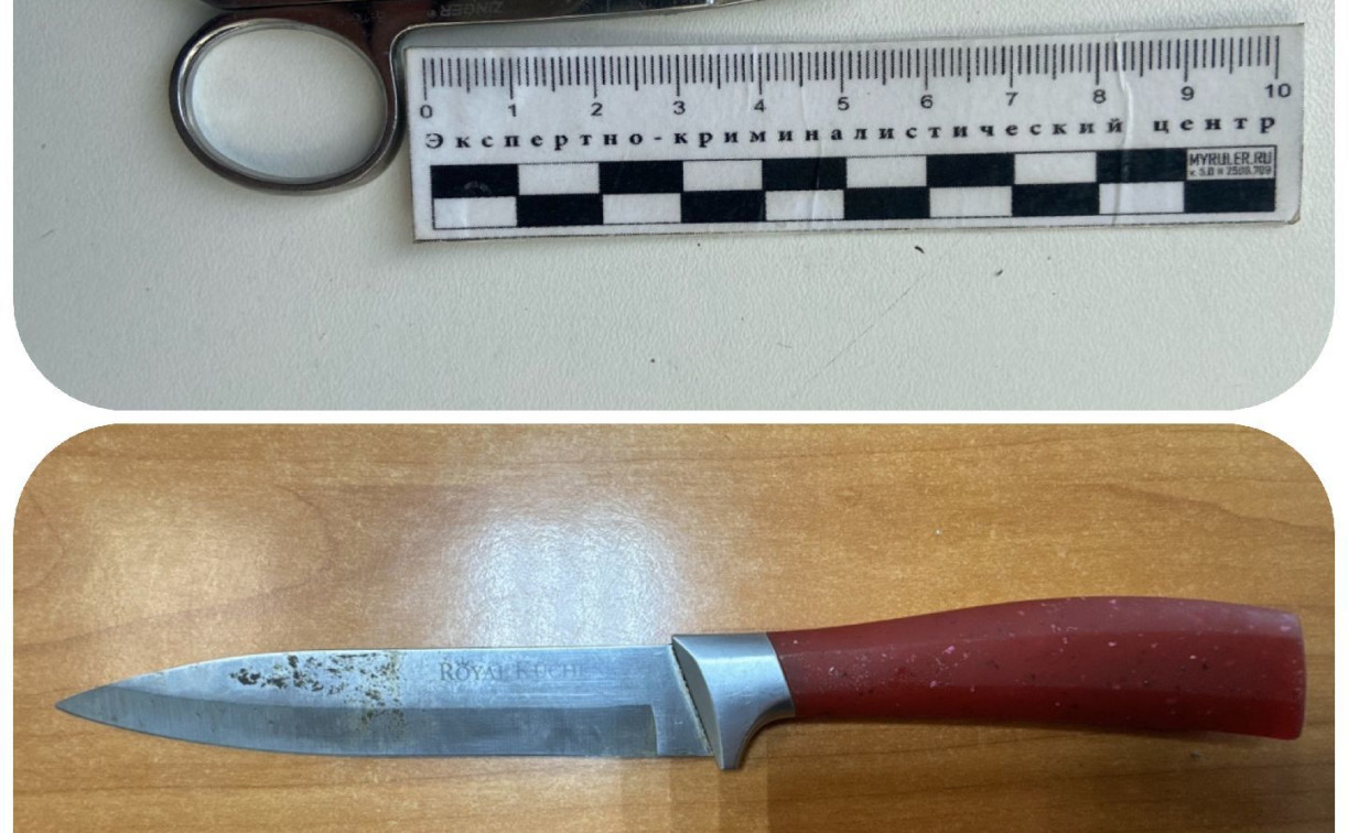 В Суворове и Донском приставы нашли «запрещёнку» у посетителей судов