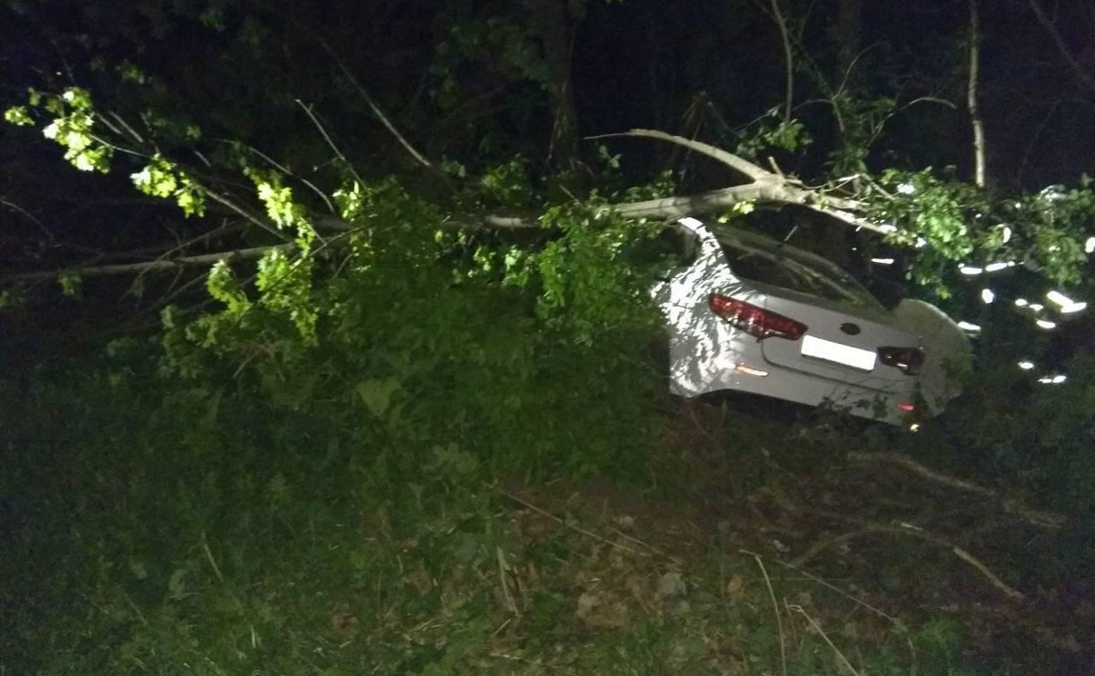 В Тульской области автомобиль «Киа» врезался в дерево