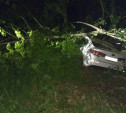 В Тульской области автомобиль «Киа» врезался в дерево