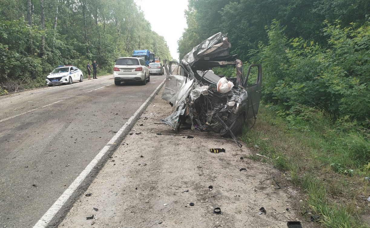 С начала года в Тульской области в ДТП с дикими животными пострадали 7 человек