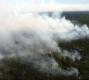 Леса в Алексинском районе осмотрят с вертолета 