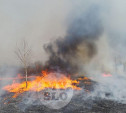 В Туле горят гектары поля: фоторепортаж