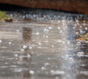 Погода в Туле 9 июня: похолодание, гроза и дождь с градом