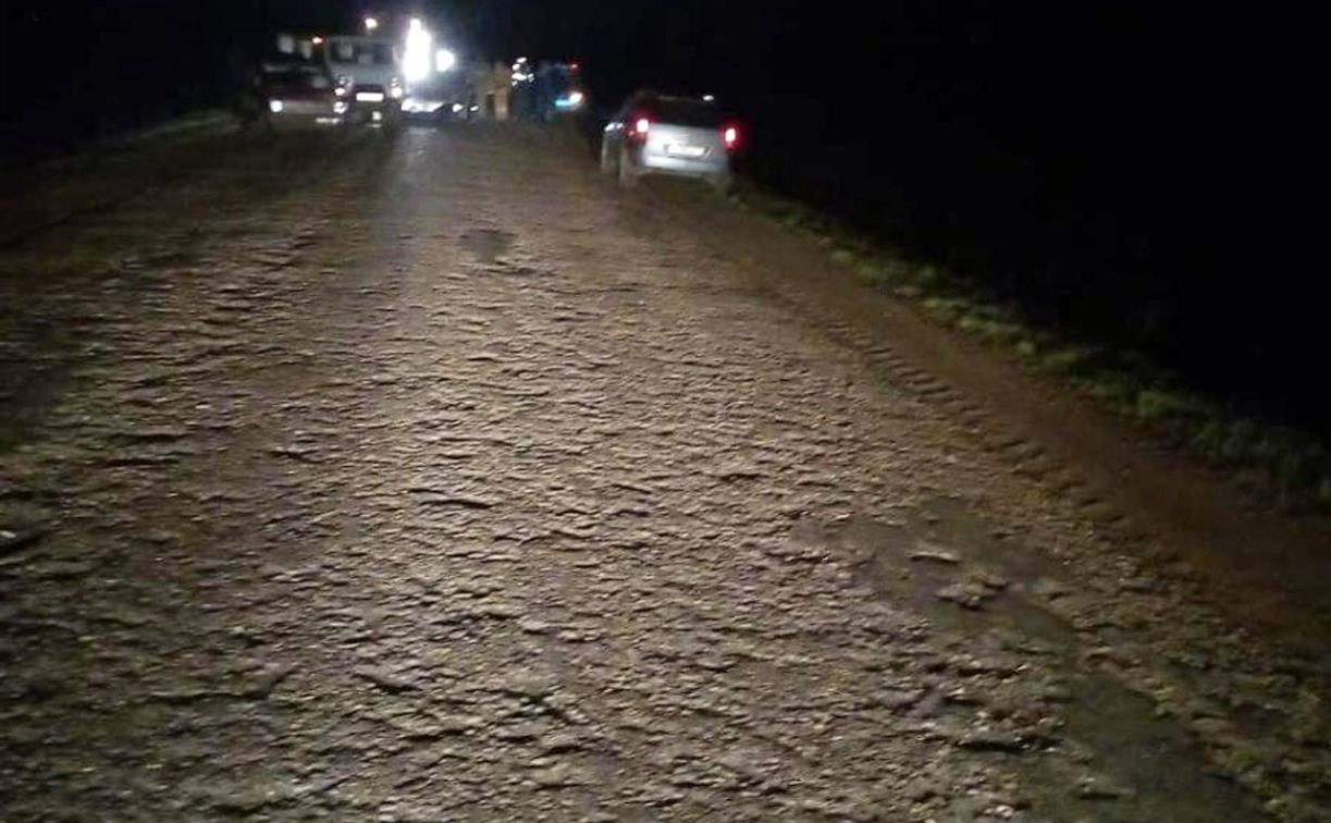 В Тульской области водитель ВАЗа сбил двух пешеходов