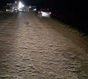 В Тульской области водитель ВАЗа сбил двух пешеходов