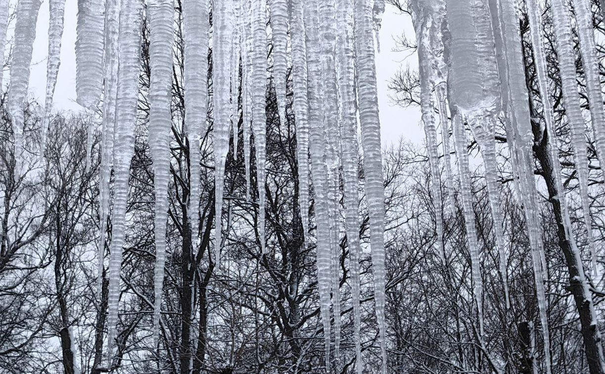 В декабре в Центральной России прогнозируют 20-градусные морозы