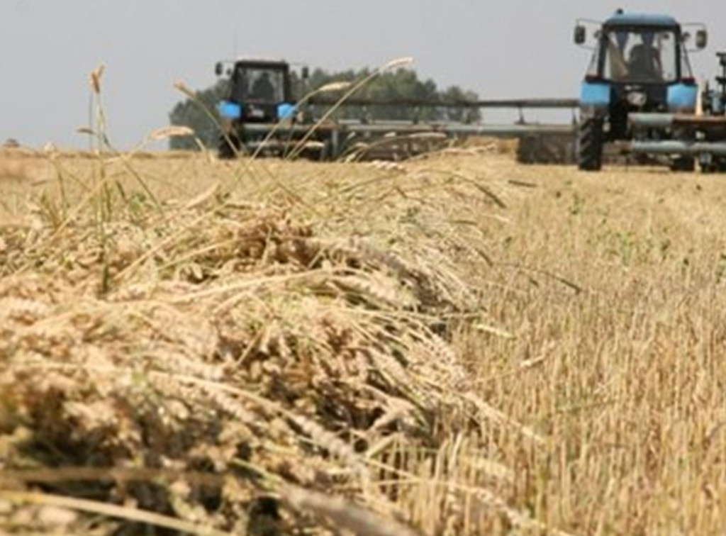 В Тульской области открылось производство по глубокой переработке пшеницы