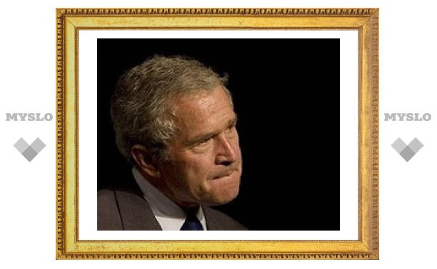 Канадские пацифисты забросали портрет Буша ботинками