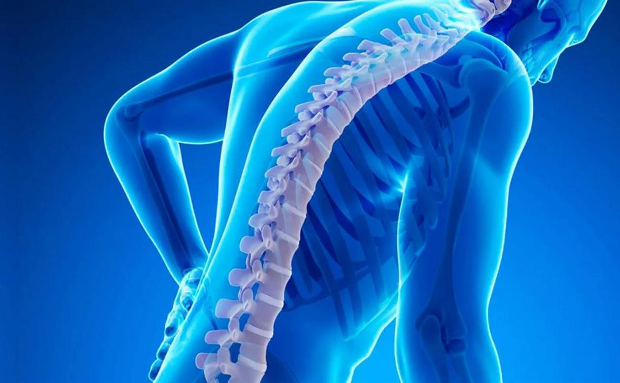 Врач-ревматолог расскажет тулякам о профилактике остеопороза