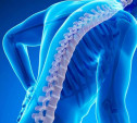 Врач-ревматолог расскажет тулякам о профилактике остеопороза