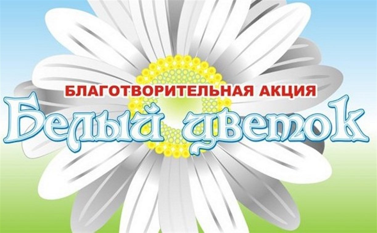 В Туле пройдет благотворительная акция «Белый цветок»