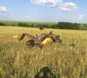 В Тульской области в поле упал самолет. Пилот погиб